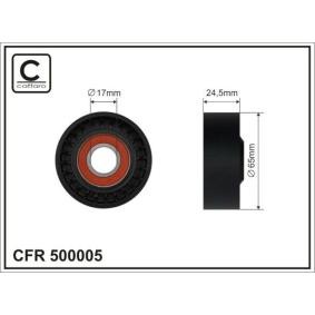 Spannrolle, Keilrippenriemen 500005