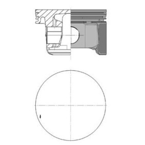 RENAULT Wasserpumpe von KOLBENSCHMIDT