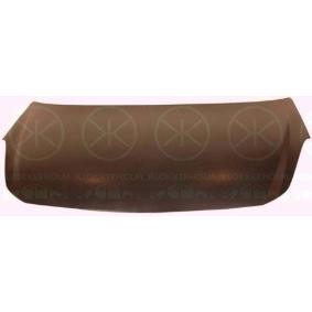 Motorhaube 5024280A1