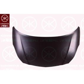 Motorhaube 5025280A1