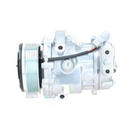 Lichtmaschine von BV PSH
