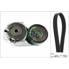 Acquista Kit Cinghie Poly-V da INA 529 0250 10 a buon mercato per soli 139,65 €