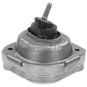 Acquista Supporto motore da GSP 530161 a buon mercato per soli 63,04 €