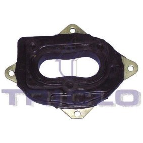Flansch, Vergaser von TRICLO
