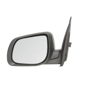 Acquista Specchietto retrovisore esterno da BLIC 5402-53-2001535P a buon mercato per soli 254,33 €