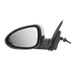 Acquista Specchietto retrovisore esterno da BLIC 5402-56-013345P a buon mercato per soli 115,21 €