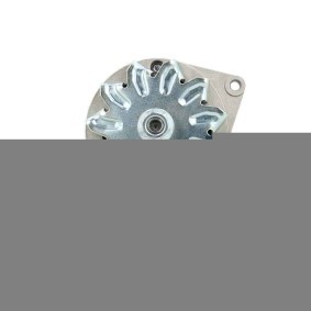 Lichtmaschine von BV PSH
