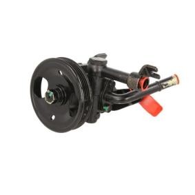 Servopumpe 55.6118 für Pathfinder III (R51) für 79,80 CHF