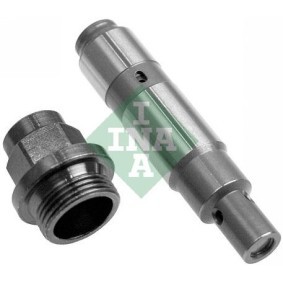 Steuerkettenspanner 551 0019 10