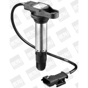 Lichtmaschinenregler GER001