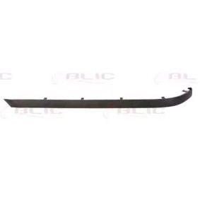 Acquista Modanatura paraurti da BLIC 5513-00-00659703P a buon mercato per soli 13,74 €