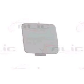Klappe, Abschlepphaken 5513-00-0086920P