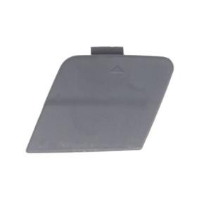 Klappe, Abschlepphaken 5513-00-0086971P