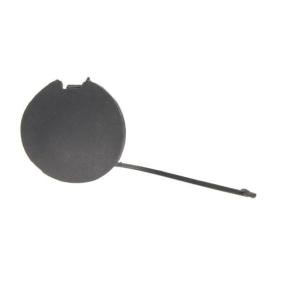 Klappe, Abschlepphaken 5513-00-2031920P