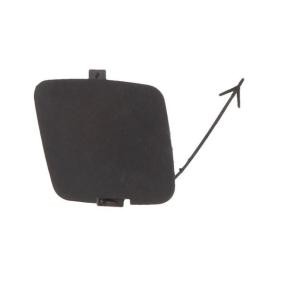 Klappe, Abschlepphaken 5513-00-2053920P
