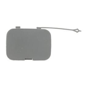 Klappe, Abschlepphaken 5513-00-2098920P