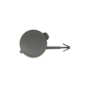 Klappe, Abschlepphaken 5513-00-5514970P