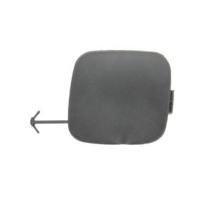 Klappe, Abschlepphaken 5513-00-8116923P