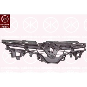 Motorhaube 5536281A1