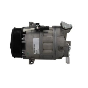 Lichtmaschine von BV PSH
