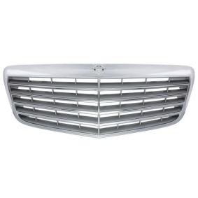 Kühlergrill 5601-00-3528992P