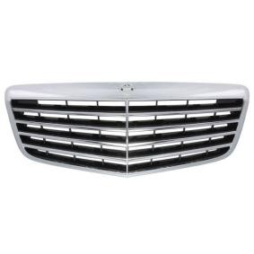 Kühlergrill 5601-00-3528993P
