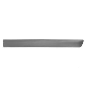 Zierleiste für die Tür 5703-04-1301574P von BLIC günstig für 21,48 € online kaufen
