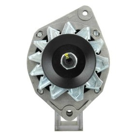 Lichtmaschine von BV PSH