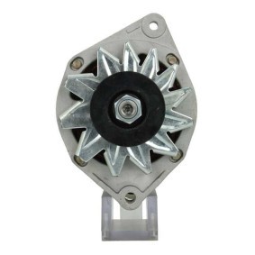 Lichtmaschine von BV PSH