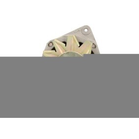 Lichtmaschine von BV PSH