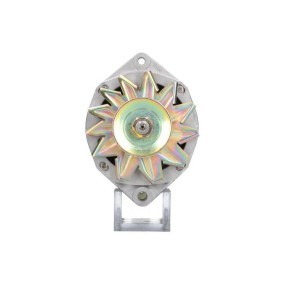 Lichtmaschine von BV PSH