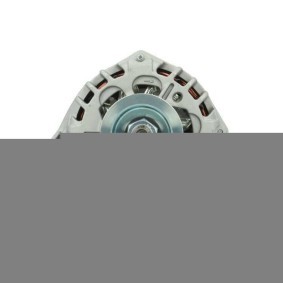 Lichtmaschine von BV PSH