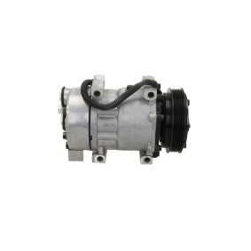 Lichtmaschine von BV PSH