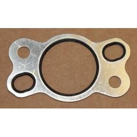 Dichtung, Steuerkettenspanner 577.960