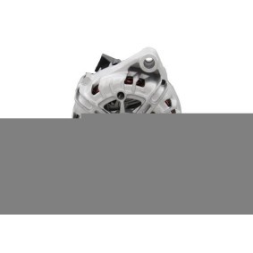 Lichtmaschine von BV PSH