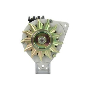 Lichtmaschine von BV PSH