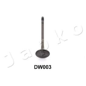 Auslaßventil 5DW003