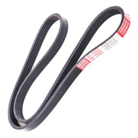 Keilrippenriemen 5PK1015-PCS-MS
