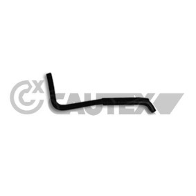 Compre Tubo de radiador de CAUTEX online para Avensis Verso (_M2_) a preços moderados