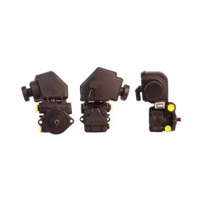 Acquista Pompa idraulica, sterzo da DRI 715521095 a buon mercato per soli 195,87 €