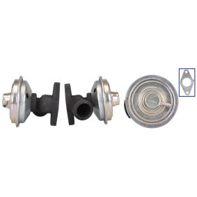 Comprar Válvula EGR de DRI 717710177 a bajo precio de 129,69 €