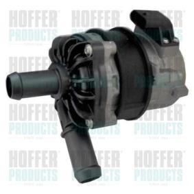 Zusatzwasserpumpe 7500048 von HOFFER günstig für 587,37 € online kaufen