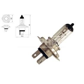 Glühlampe, Fernscheinwerfer 79780237 von CARPRISS günstig für 4,97 € online kaufen