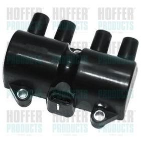 Zündspule 8010493 von HOFFER günstig für 43,72 € online kaufen
