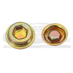 Verschlußschraube, Kurbelgehäuse 84057 von 3RG günstig für 5,02 € online kaufen