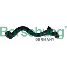 Schlauch, Kurbelgehäuseentlüftung B12435 von Borsehung günstig für 23,95 € online kaufen