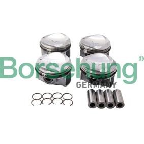 Kolben B13584 von Borsehung günstig für 523,95 € online kaufen