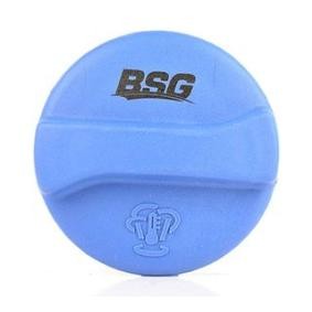Köp Lock till expansionskärl av BSG BSG 90-551-001 till det låga priset 402,59 kr