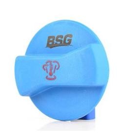Köp Lock till expansionskärl av BSG BSG 90-551-004 till det låga priset 407,37 kr