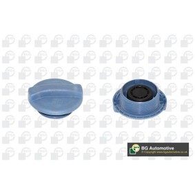 Köp Lock till expansionskärl av BGA CC3008 till det låga priset 69,72 kr